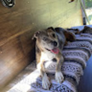 Meet your Posher, Carlyn